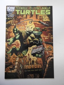 Teenage Mutant Ninja Turtles #27 Cover B (2013)