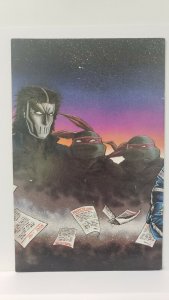 Teenage Mutant Ninja Turtles #11 Eastman & Laird Mirage Studios 1987