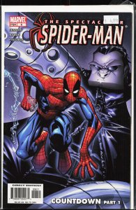 Spectacular Spider-Man #7 (2004) Spider-Man