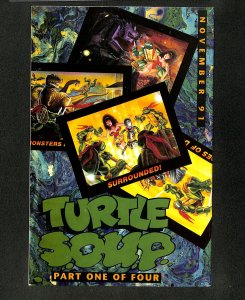 Teenage Mutant Ninja Turtles #40