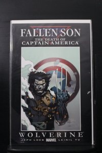 Fallen Son: The Death of Captain America #1 (2007)