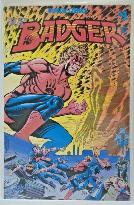 *Badger (1983) #1-58, Badger Berserk #1-2  (60 books) 