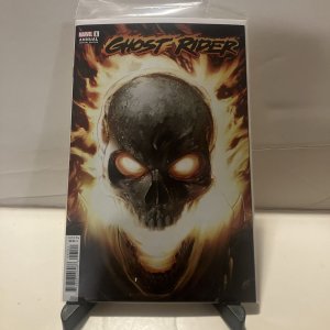 GHOST RIDER ANNUAL #1 GREG LAND VARIANT (2023)