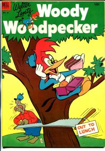 Woody Woodpecker #18  1953 - Dell  -VG+ - Comic Book