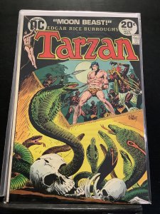 Tarzan #225 (1973)
