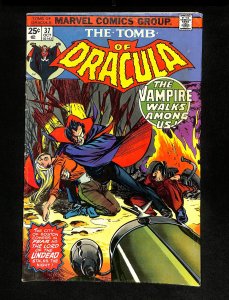 Tomb Of Dracula #37