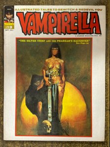 VAMPIRELLA #13 (Warren,9/1971) FINE PLUS (F+) Goodwin, Gonzalez