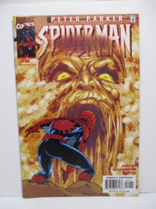 Peter Parker: Spider-Man #22 (2000) 