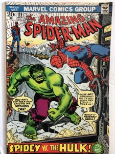 Amazing Spider-Man #119, VG, vs...the Hulk!!