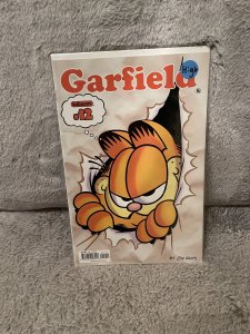 Garfield #12