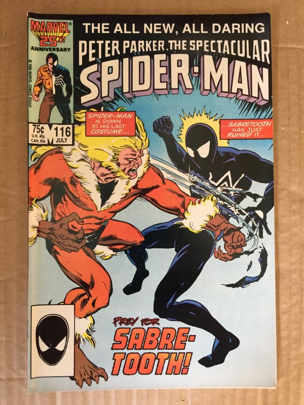 Peter Parker The Spectacular Spider-Man #116