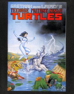 Teenage Mutant Ninja Turtles #27