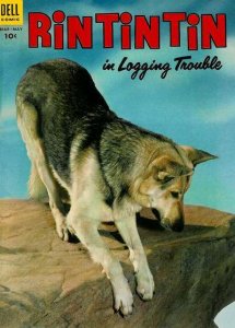 Rin Tin Tin   #4, VG (Stock photo)