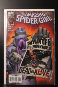The Amazing Spider-Girl #17 (2008)
