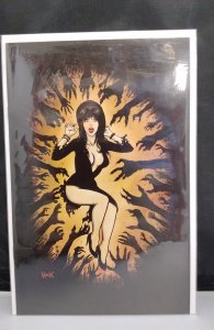 Elvira Mistress of the Dark #2 Cover C Robert Hack (2018)