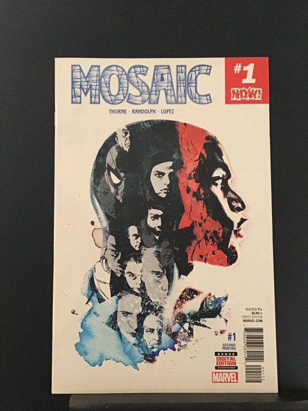 Mosaic #1 (2016)