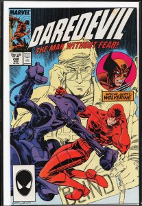 Daredevil #248 (1987) Daredevil [Key Issue]