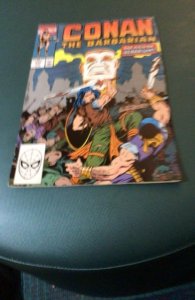 Conan the Barbarian #235 (1990) Vanarim! High-Grade NM- Wow!