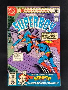 The New Adventures of Superboy #10 (1980)