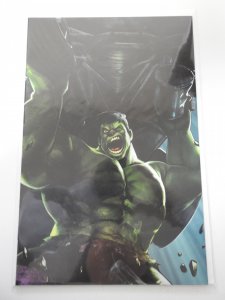 The Immortal Hulk #17 Heyjin Im 'Battle Lines' Variant (2019)