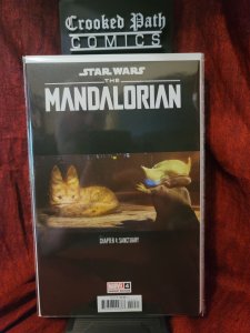 Star Wars: The Mandalorian #2 Variant Cover (2022)