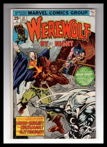 Werewolf by Night #37 (1976)    / ID#033