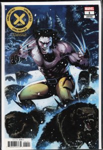 X-Men Unlimited: Latitude Magno Cover (2022) X-Men