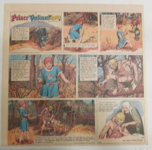 Prince Valiant Sunday #1603 by Hal Foster from 10/29/1967 2/3 Full Page Size ! 