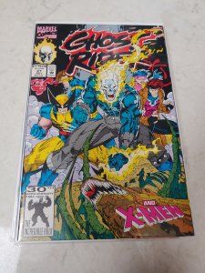 Ghost Rider #27 (1992)
