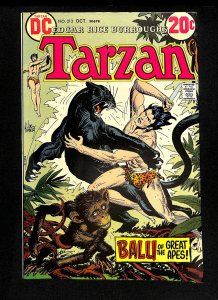 Tarzan (1972) #213