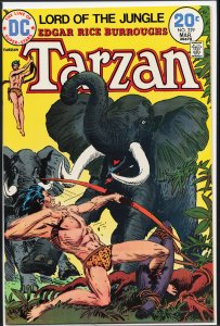 Edgar Rice Burroughs' Tarzan #229 (1974)