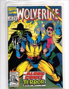 Marvel Comics Wolverine #58 Darick Robertson D. G. Chichester Jubilee Terror app