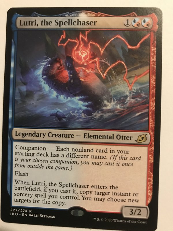 LUTRI, THE SPELLCHASER : Magic the Gathering MTG card; IKORIA, Rare, NM