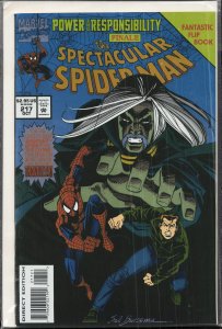 The Spectacular Spider-Man #217 (1994) Spider-Man