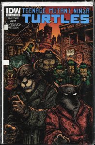 Teenage Mutant Ninja Turtles #39 Cover B (2014)