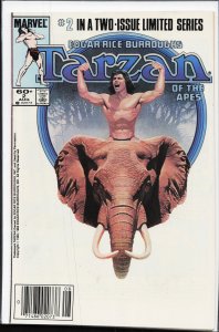 Tarzan of the Apes #2 (1984) Tarzan