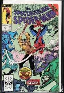 The Spectacular Spider-Man #147 (1989) Spider-Man
