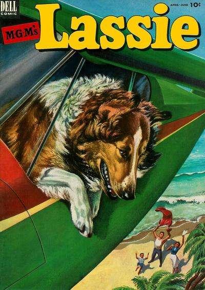 Lassie #11, Good (Stock photo)