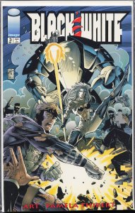 Black & White #3 (1995) Black & White
