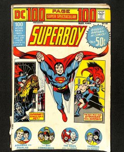 DC 100-Page Super Spectacular #15