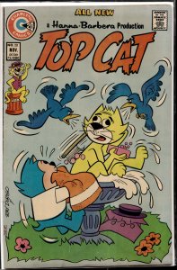 Top Cat #20 Top Cat