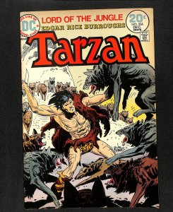 Tarzan (1972) #226