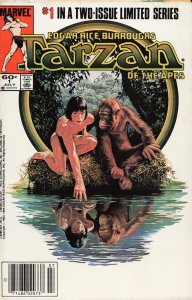 Tarzan of the Apes #1 (1984) Tarzan