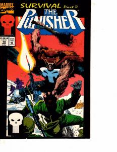 Lot Of 2 Comic Books Marvel Punisher #68 and #78 Thor Iron Man    MS17