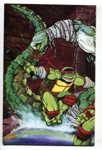 TEENAGE MUTANT NINJA TURTLES #45 comic book 1992 NM-