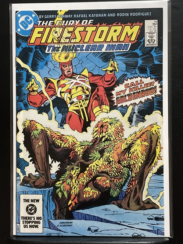 The Fury of Firestorm #19 (1984)