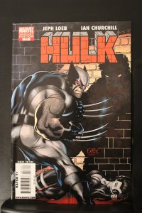 Hulk #17 Variant Cover (2010)  Super-High-Grade NM or better Wolverine, Deadpool