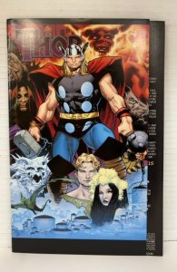 Thor #604 Variant Cover (2010)