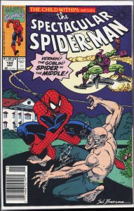 The Spectacular Spider-Man #182 (1991) Spider-Man