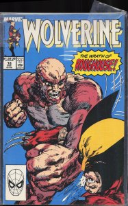 Wolverine #24 Direct Edition (1990) Wolverine